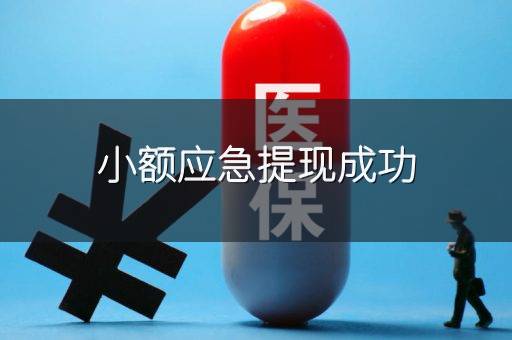 小额应急提现成功