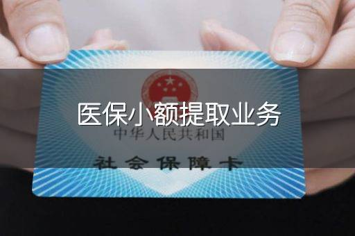 医保小额提取业务